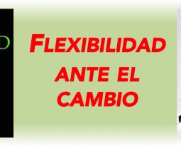 Flexibilidad ante el cambio