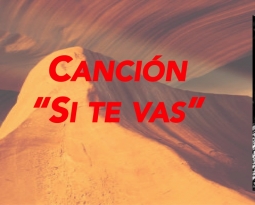 Canción «Si te vas»
